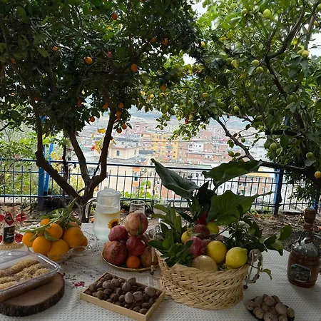 别墅 Elli's 培拉特